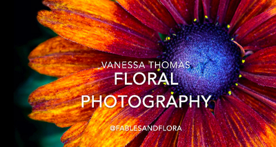 Floral Photography Introduction to Fables and Flora